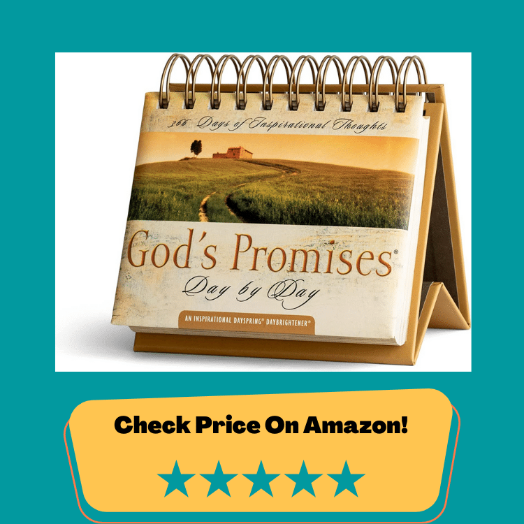 #1 DaySpring Flip Calendar - God's Promises Day by Day - 77872 , Brown