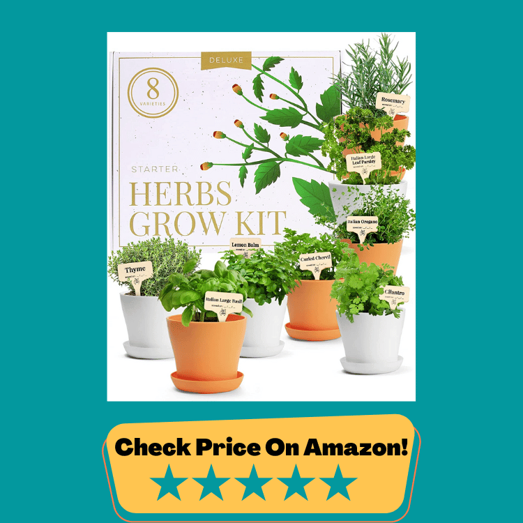 #2 Deluxe Herb Garden Kit – Unique Gardening Gifts for Women - 8 Variety Culinary Herb Garden Kit Indoor & Outdoor – Cooking Gifts for Gardeners, Plant Gifts for Mom Who Has Everything This Christmas