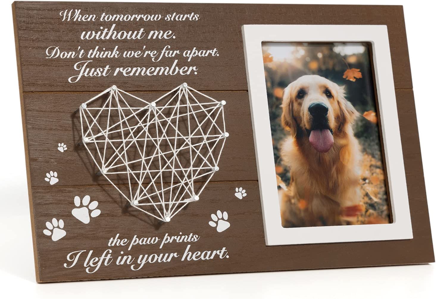 Best Gifts For Those Who Have Lost A Pet