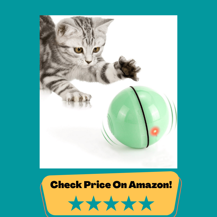 Peppy Pet Balls and Toys your Pets will Love