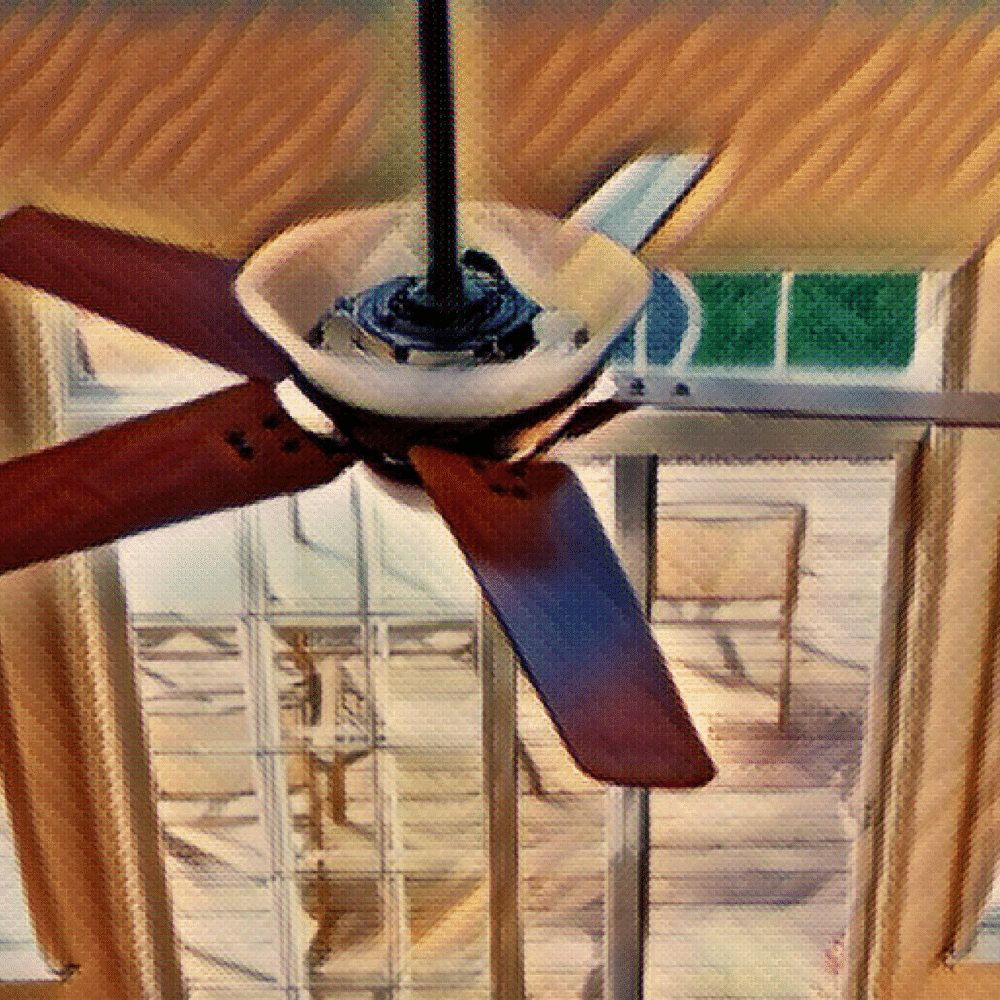 Best box fan for your home